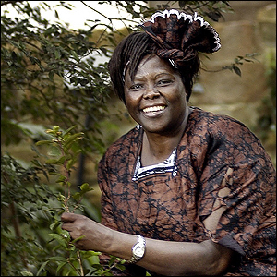 'In a few decades, the relationship between the ENVIRONMENT, RESOURCES and CONFLICT may seem almost as obvious as the connection we see today between human rights, democracy and peace.'
           ~@WangariMaathai