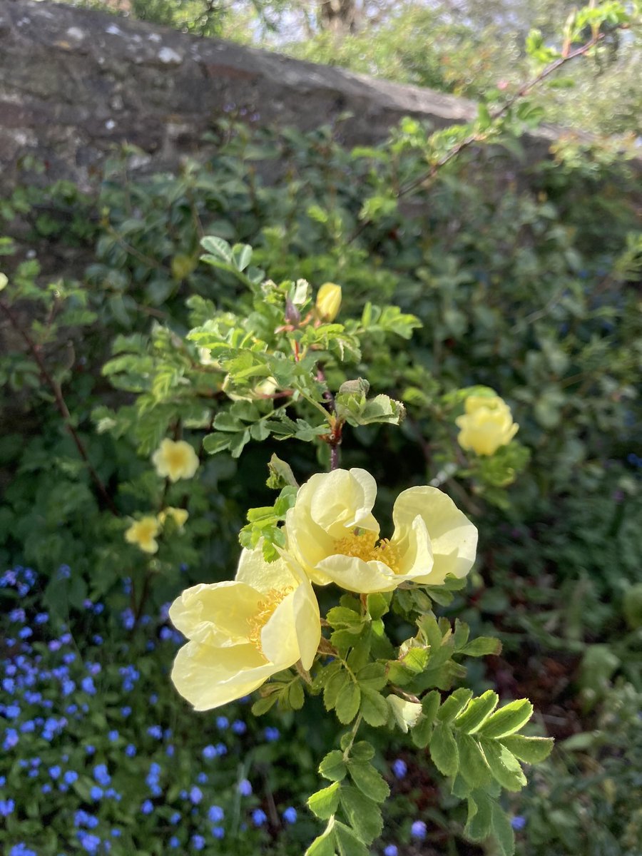 Richard Reynolds tweet media