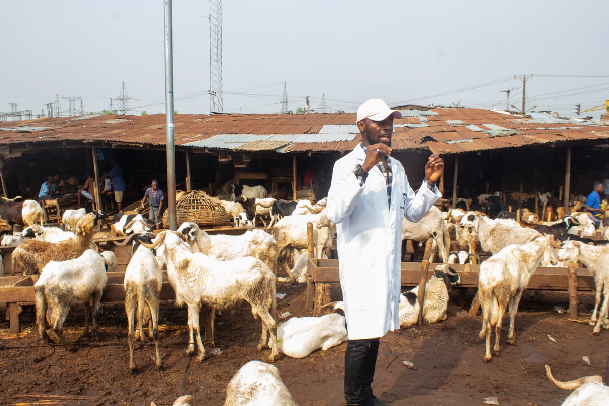 BSW_anivet's tweet photo. @HSAofficial mentorship program partners up researchers with students. @CKjeldager was paired with Nigerian vet Farhan Ridor writing his successful HSA grant. Now, he is delving into the awareness of and barriers to animal welfare within transport. 
https://t.co/WnGaaIW5Q3 https://t.co/GK62FNyGDO