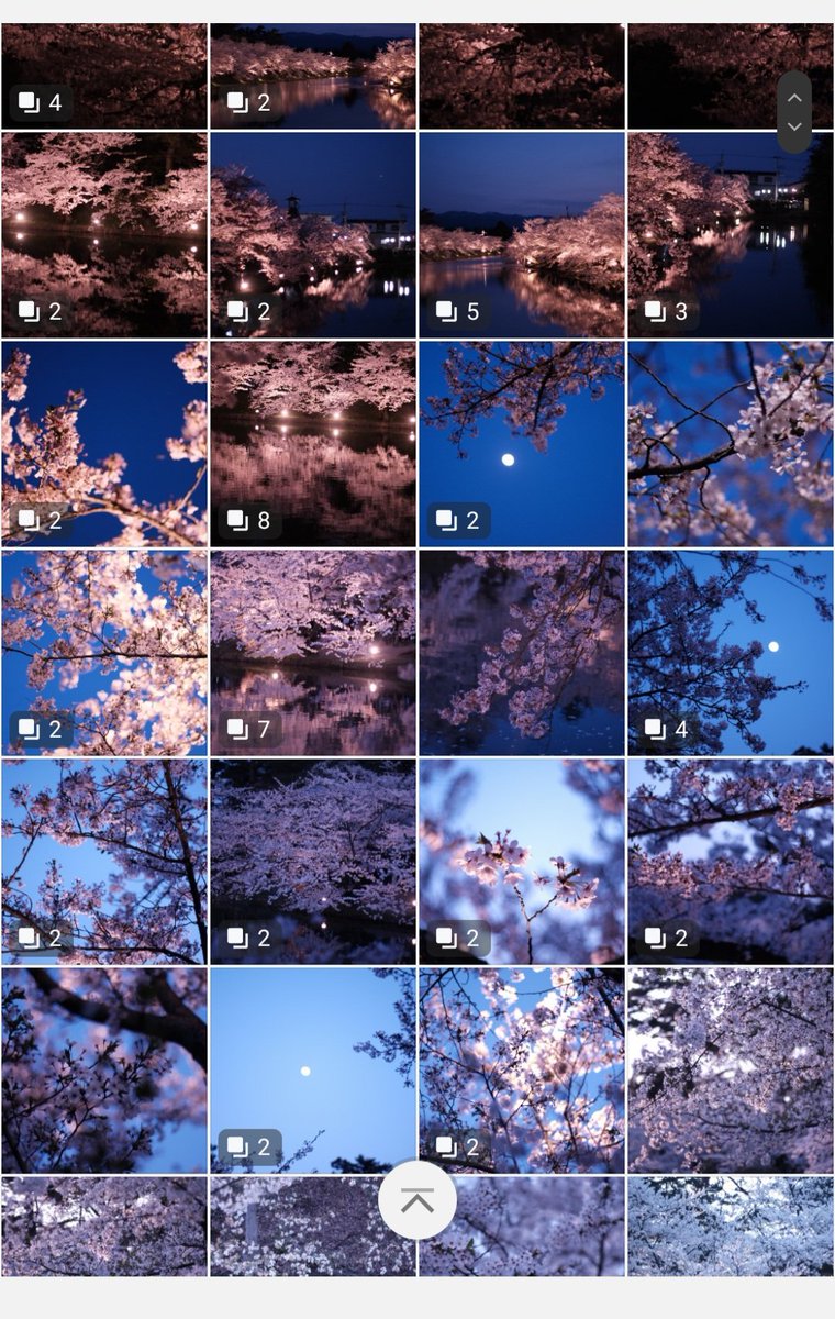 msm_fl_'s tweet photo. 2024桜

#弘前公園
#カメラ好きな人
#写真好きな人
#キリトリセカイ
#ファインダー越しの私の世界 
#桜
#チェリーブロッサム
#cherryblossom
#photograghy 
#camera
#fujifilm
#fujifilm_xseries 
#fujifilmxs10
#xs10
#オールドレンズ https://t.co/mRmBRNS5pg