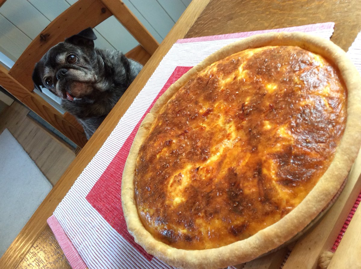 I can’t believe it’s been 4 years since dad baked a quiche. Starts singing: 🎵All we are saying, is give quiche a chance🎵