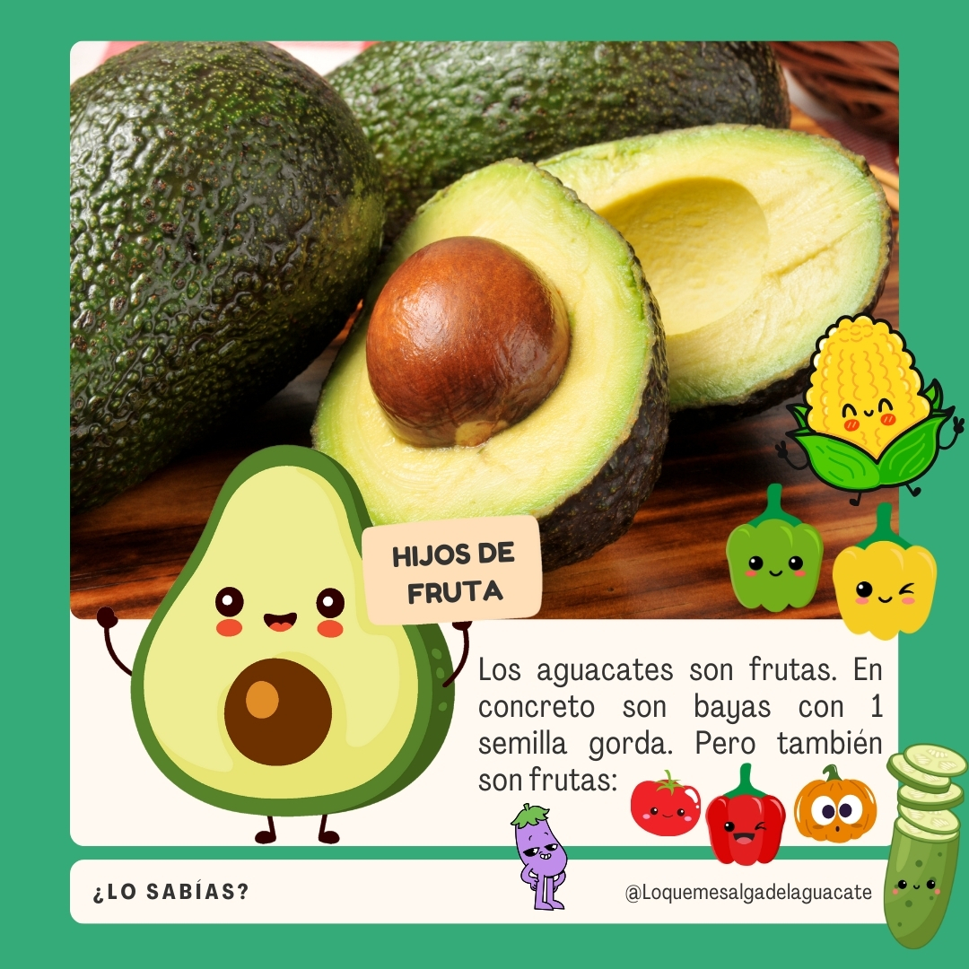 LQMSDA's tweet photo. ¿Qué es un 🥑? ¿Sabías que muchos vegetales de los que comes son frutas? #alimentacionsaludable #fruta #verdura #nutricion https://t.co/RxZNEc495X