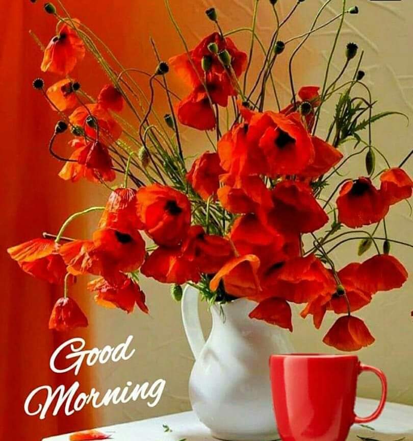 Muhammad Azeem tweet media