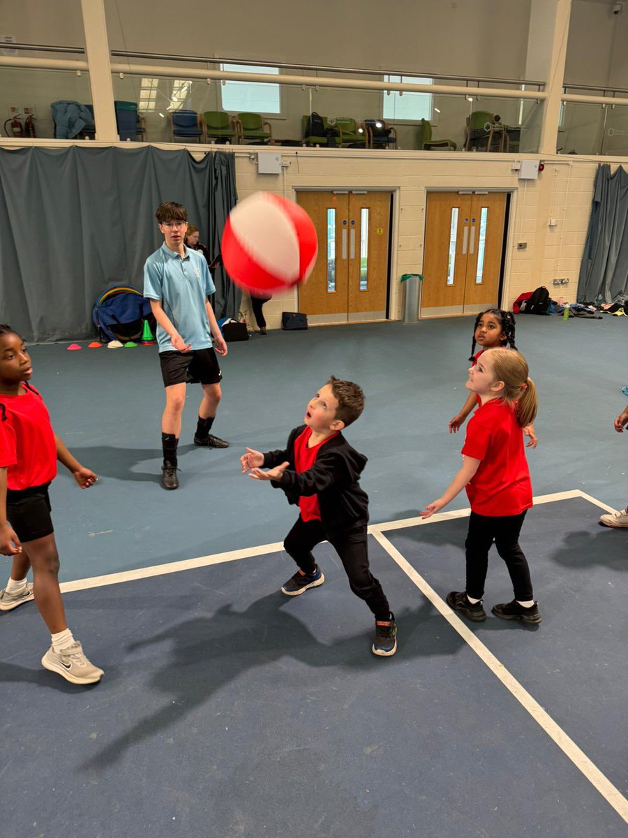 RandlayPrimary tweet media