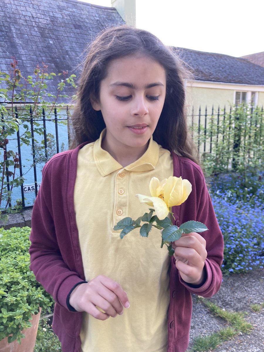 Richard Reynolds tweet media