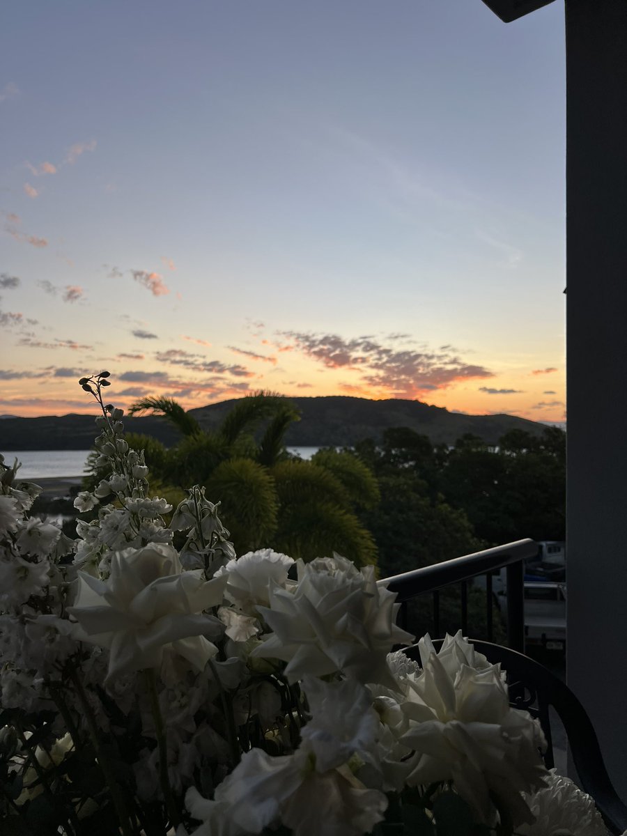 juna_silwal's tweet photo. #roses #whiteflowers #sunset #sunsetandflowers https://t.co/Y2MHnkMr2R