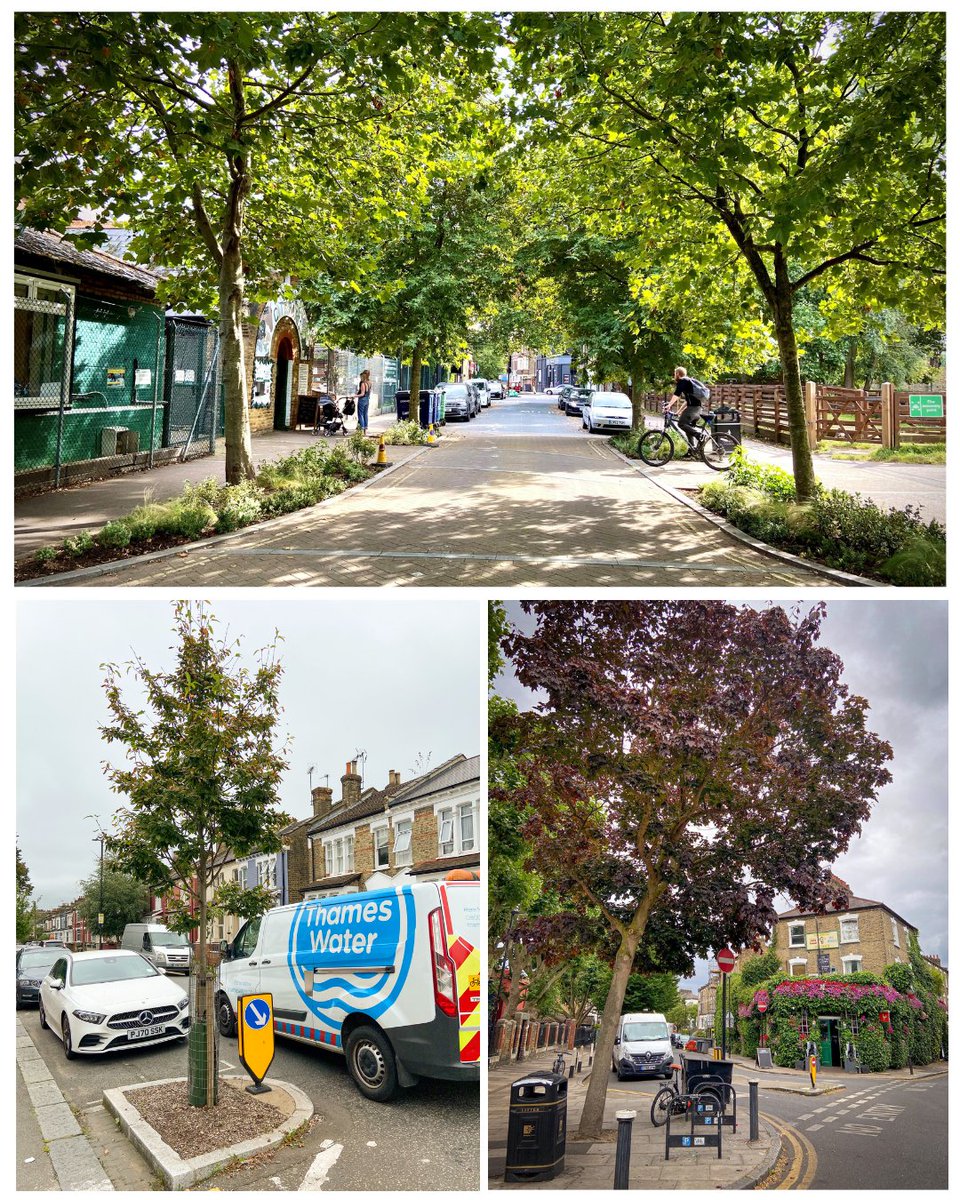 Traffic 🚗calming 🧘‍♀️trees🌳 Fact: cars drive more slowly on a tree-lined street. These 3 interventions show the positive use of trees in the roadway: 🚸As part of a narrowed crossing point (Top) 🏎️ Within a chicane (Left) 🧑‍🤝‍🧑At a wide junction, narrowed to make it more…