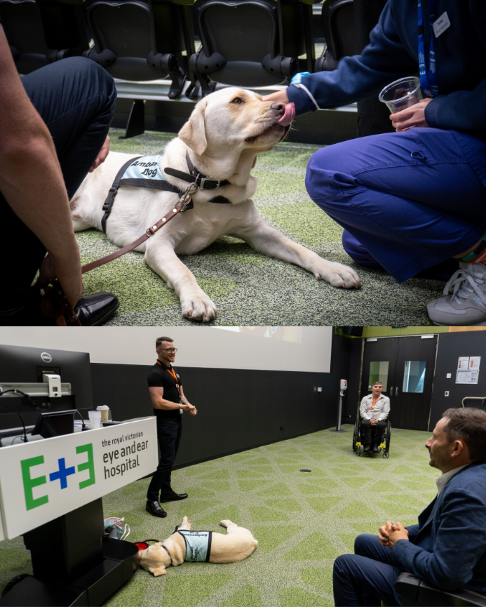 Eye and Ear Hospital tweet media