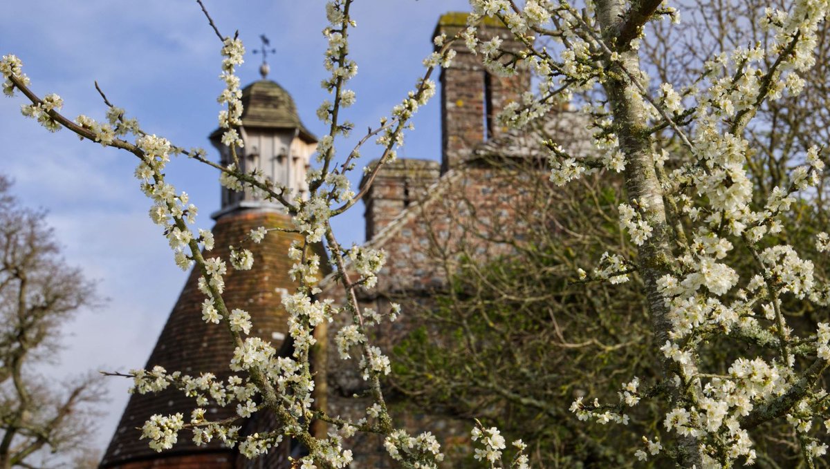 Where are we? There's a 17th century house hiding behind the blossom, home to a world-famous, Nobel Prize-winning writer. He described it as 'a real house in which to settle down'. His children roamed the grounds like it was their own private jungle. Can you guess it?