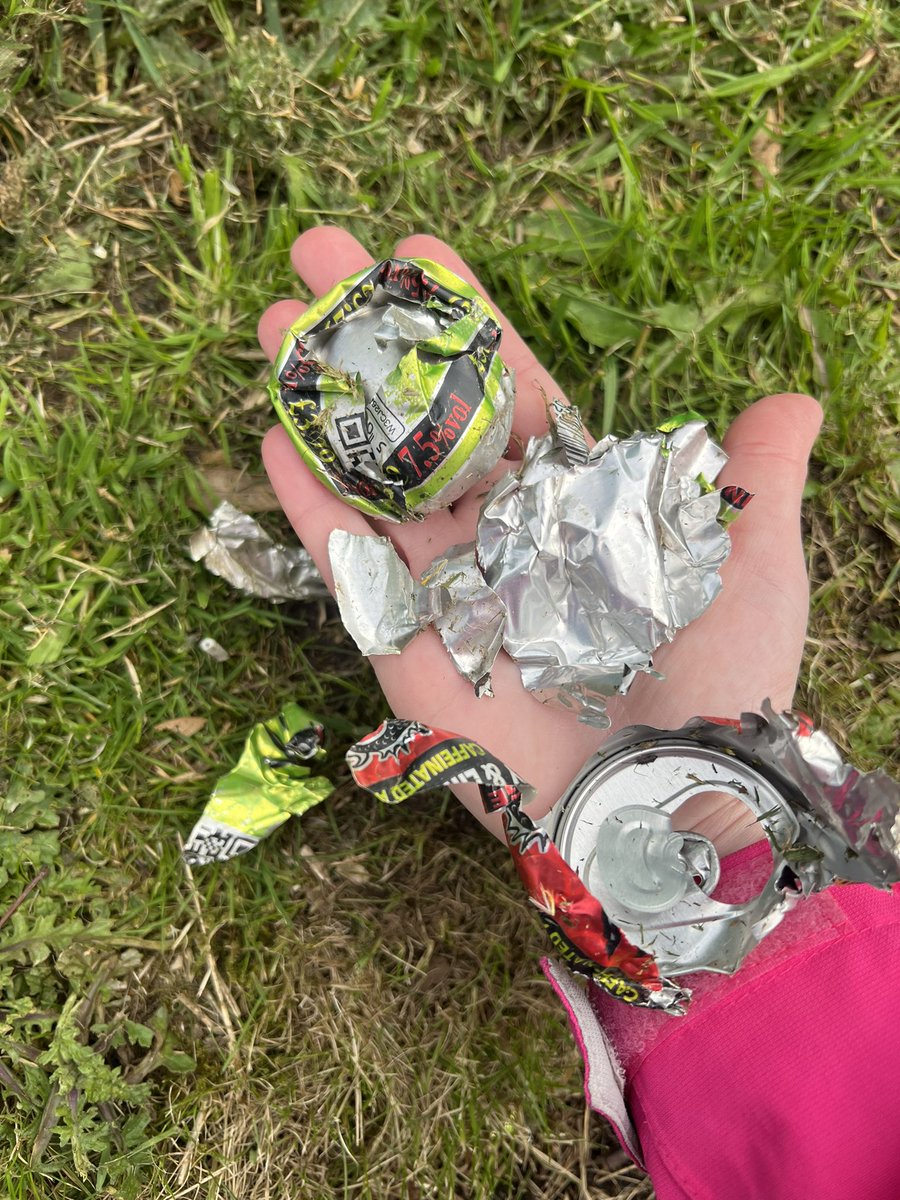 Please stop cutting the grass without clearing the litter first. Shredded cans make sharp bits of metal, dangerous for kids, pets and wildlife! ❌