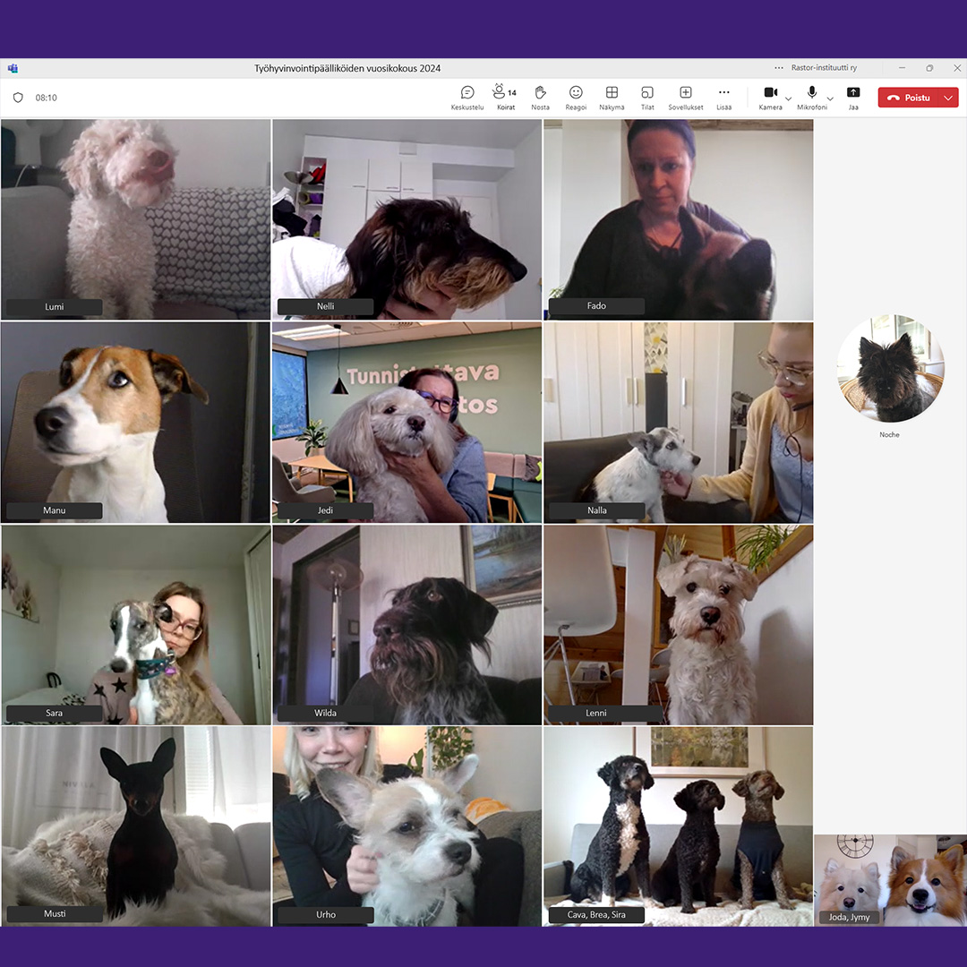 Rastor-instituutti tweet media