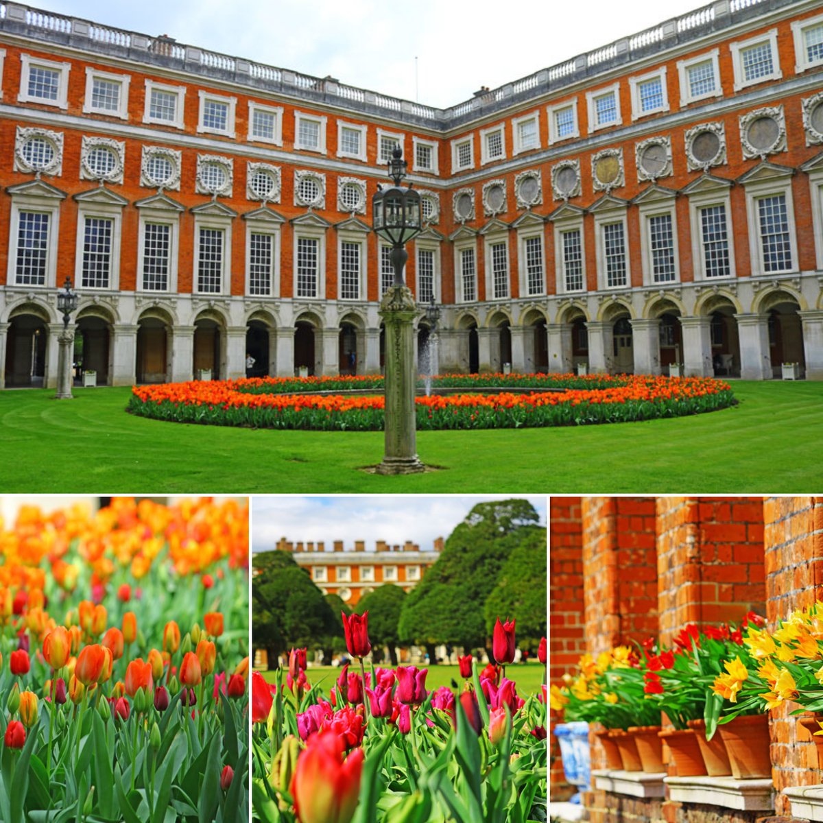 We are cruising from #Westminster to #Kew, #Richmond & #HamptonCourt today. If you haven't been to the #HamptonCourtPalace #TulipFestival join us for a cruise today. We have indoor & outdoor seating, a fully licensed bar & toilets on all sailings:
thamesriverboats.co.uk