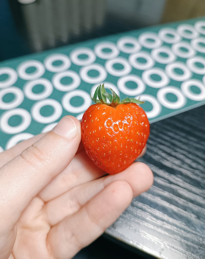 Slept 14 hours, got letter from Nacon and cleaned half of dead discord channels (so i can have more)

Also got a first strawberry of the season from coworker - day will be good