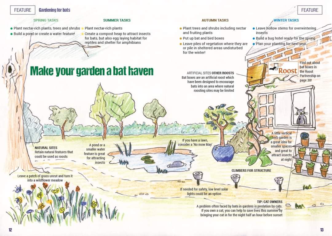 Carrying on with the Wonderful Wednesday garden theme, have you ever thought of making your garden bat friendly. Well, see below for handy tips on how to do it and help our friendly bats. #shareyourgardentips @TPASGill