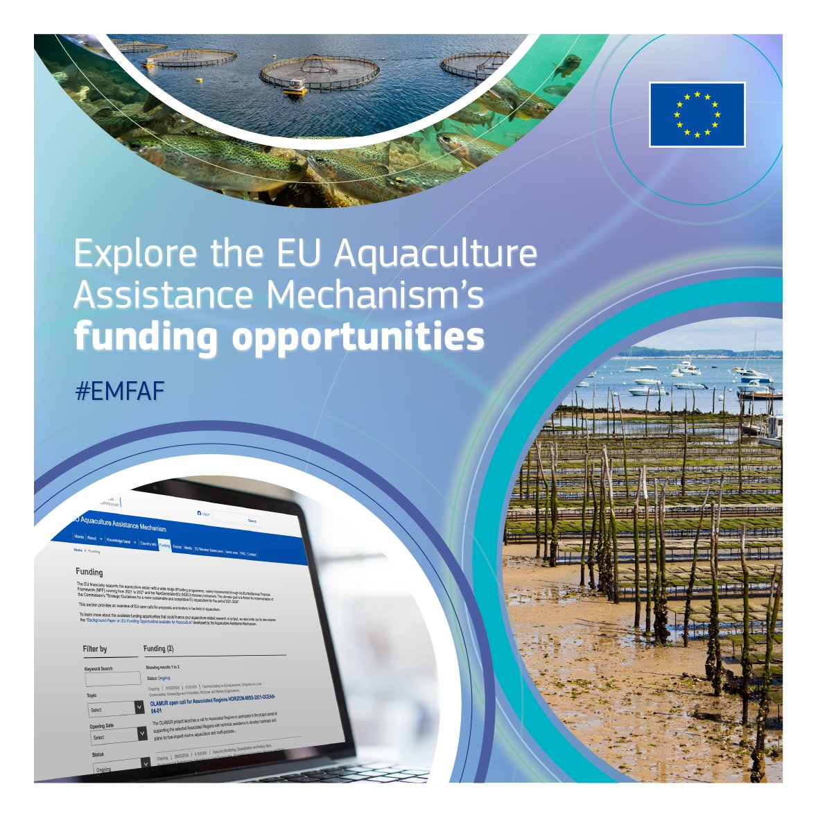 Have an overview of EU open calls for proposals & tenders in the field of aquaculture with just one click! 💶 There is a wide range of funding opportunities that could finance your aquaculture-related research or project👇 europa.eu/!tB7t7V #EMFAF #BlueFarmingEU