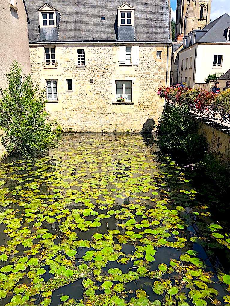 Water lily Wednesday: crossing bridges in the #LoireValley known for its #wine #castles scenic villages and countryside. #floral #flowers #frenchcountryside #travel #travelphotography (3 hrs or less from Paris)
