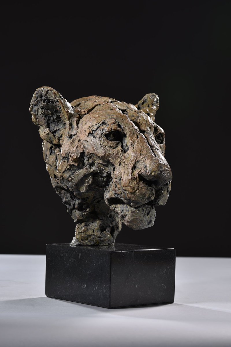 Lioness Head Study 2023

hamishmackie.com/sculptures/lio…

#lioness #lion #bigcat #bigfive #safari #safarianimals #africansafari #africananimals #africanwildlife #sculpture #statue #artwork #contemporaryart #contemporarysculpture #artcommission #artcollector #statuecollectors