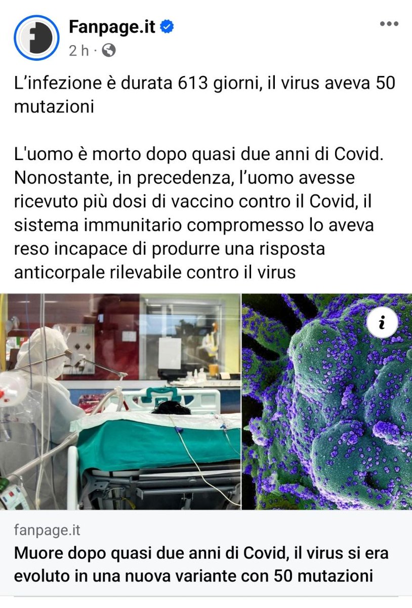 Come si fa ad affermare che questa persona sarebbe 'morta di Covid' quando aveva un tumore al sangue sorto dopo i vaccini? Siamo al rovesciamento della causa e dell'effetto. Siamo nel falso più assoluto.