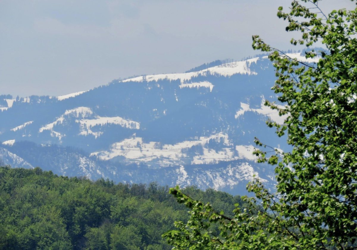SliskovicGoran's tweet photo. Jos nekoliko fotografija na povijesni snjegopad iz 2017. godine. Na danasnji datum 24.04. prizori su bili nesvakidasnji. Ostatci snijega na vec proljetnim livadama punim cvijeca i temperaturi zraka od 20°C. https://t.co/7gbHPIgopl