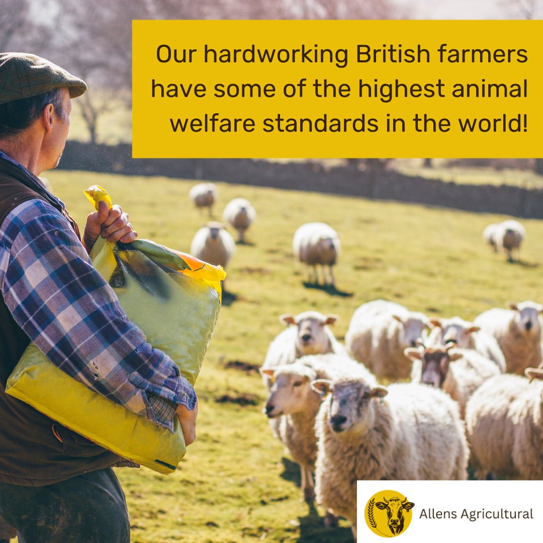 Our hardworking British farmers have some of the highest animal welfare standards in the world!

#BritishFarming #AnimalWelfare #Livestock #BritshFarmers #SupportUKFarmers