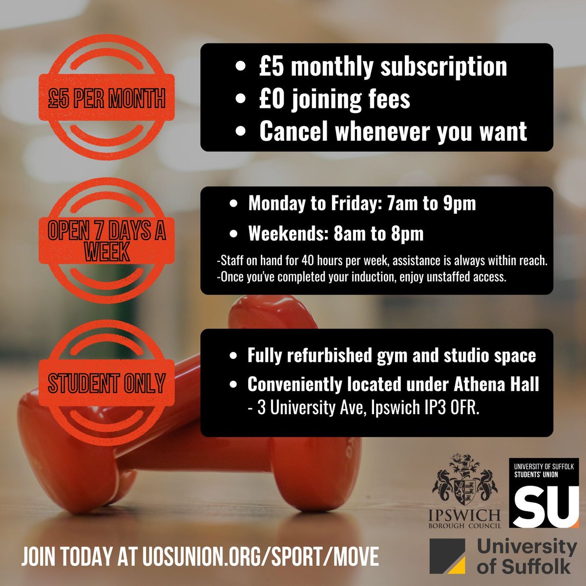 Welcome to Move, the ultimate gym experience exclusively for @uniofsuffolk students! We're thrilled to introduce our fully refurbished gym & studio space, conveniently located under Athena Hall! 🏋️‍♀️ Ready to elevate your fitness game? For sign ups & info: buff.ly/49MiieV