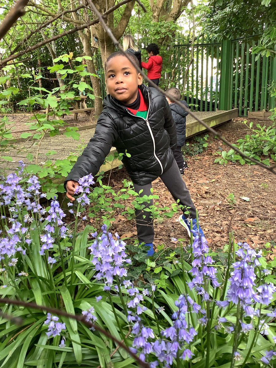 SJLCARDIFF's tweet photo. 🐛🍃🦋 In #Nursery we’ve been learning about the life cycle of a butterfly 🐛🍃🦋 We’ve been to the forest this morning on a caterpillar hunt 🦋🍃🐛 #ScienceInAction #ForestSchoolSJL #ExploratoryPlay @sjlcardiff @_OLW_ https://t.co/DUaaglGWjb