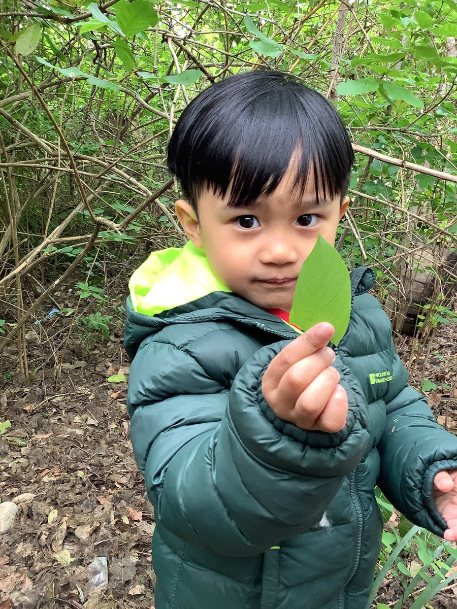 SJLCARDIFF's tweet photo. 🐛🍃🦋 In #Nursery we’ve been learning about the life cycle of a butterfly 🐛🍃🦋 We’ve been to the forest this morning on a caterpillar hunt 🦋🍃🐛 #ScienceInAction #ForestSchoolSJL #ExploratoryPlay @sjlcardiff @_OLW_ https://t.co/DUaaglGWjb