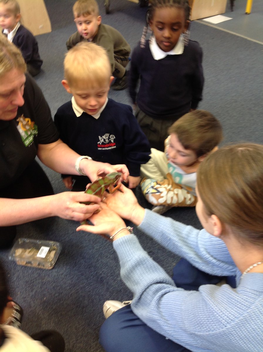 Animals came to visit nursery we saw so many different kinds of creatures, we got to hold touch and feed too.🐢@DBanimaltherapy