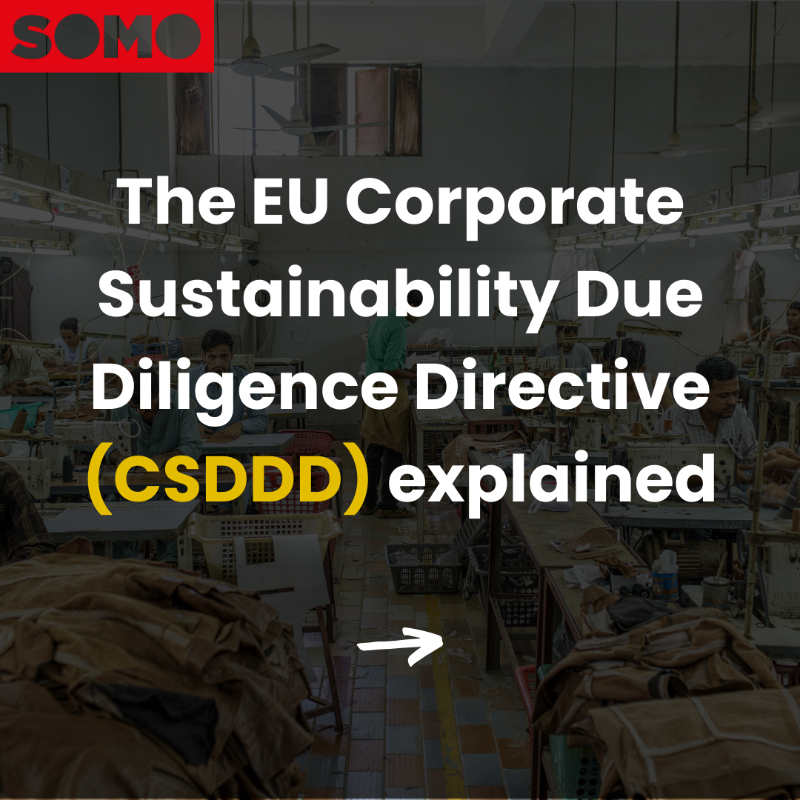 SOMO's tweet photo. 📣The @Europarl_EN just endorsed the #CSDDD! A crucial step in protecting human rights &amp; the environment and providing access to justice for corporate harm victims.
🚨As corporate lobby ramps up, we'll advocate for 
ambitious transposition into national laws!

See our explainer👇