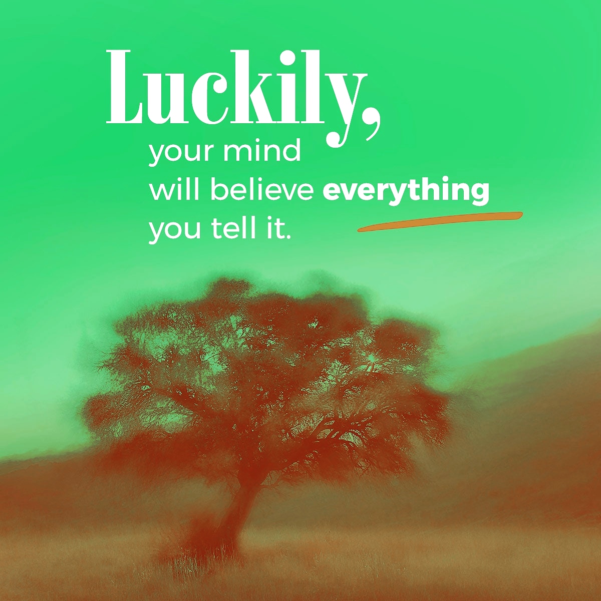 PrestonsVoice's tweet image. #motivationalquote #thinkpositivethoughts 
#WednesdayMotivation