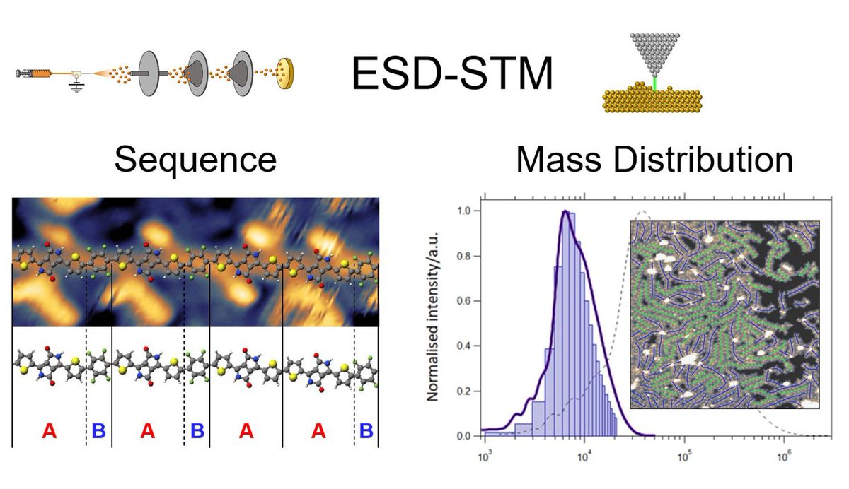 Just out in @acsnano We show that ESD-STM of conjugated polymers quantitatively reproduces NMR and GPC results and ⚡overcomes⚡their limitations. pubs.acs.org/doi/10.1021/ac… With @Sommer_group and Simon Spencer @warwickstats, @chembham, @warwickchem. From @Stefimoro1 PhD thesis