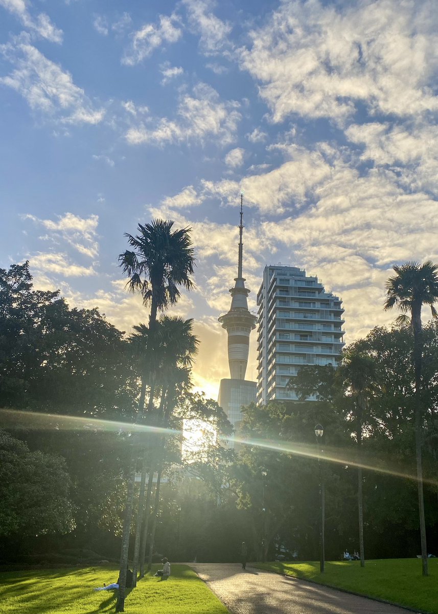 Auckland evening