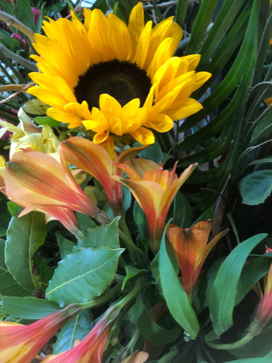 We always have a selection of beautiful bouquets of love, joy and happiness ready to pick and go🌹 Which one will you be grabbing? #flowers #flowerpower #flowersmakemehappy