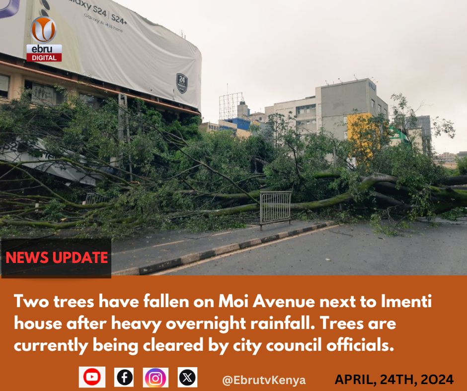 Two trees have fallen on Moi Avenue next to Imenti house after heavy overnight rainfall. Trees are currently being cleared by city council officials.
#newsupdate #ebrutvkenya #moiavenue #nairobi
