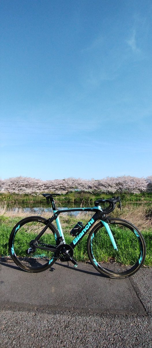 hisato73's tweet photo. #自分のバイクを貼って簡単に紹介しよう
フレームカラー が お気入り
#Bianchi #ビアンキ #oltrexr4 #tavolozza https://t.co/lzed6hm4Xq