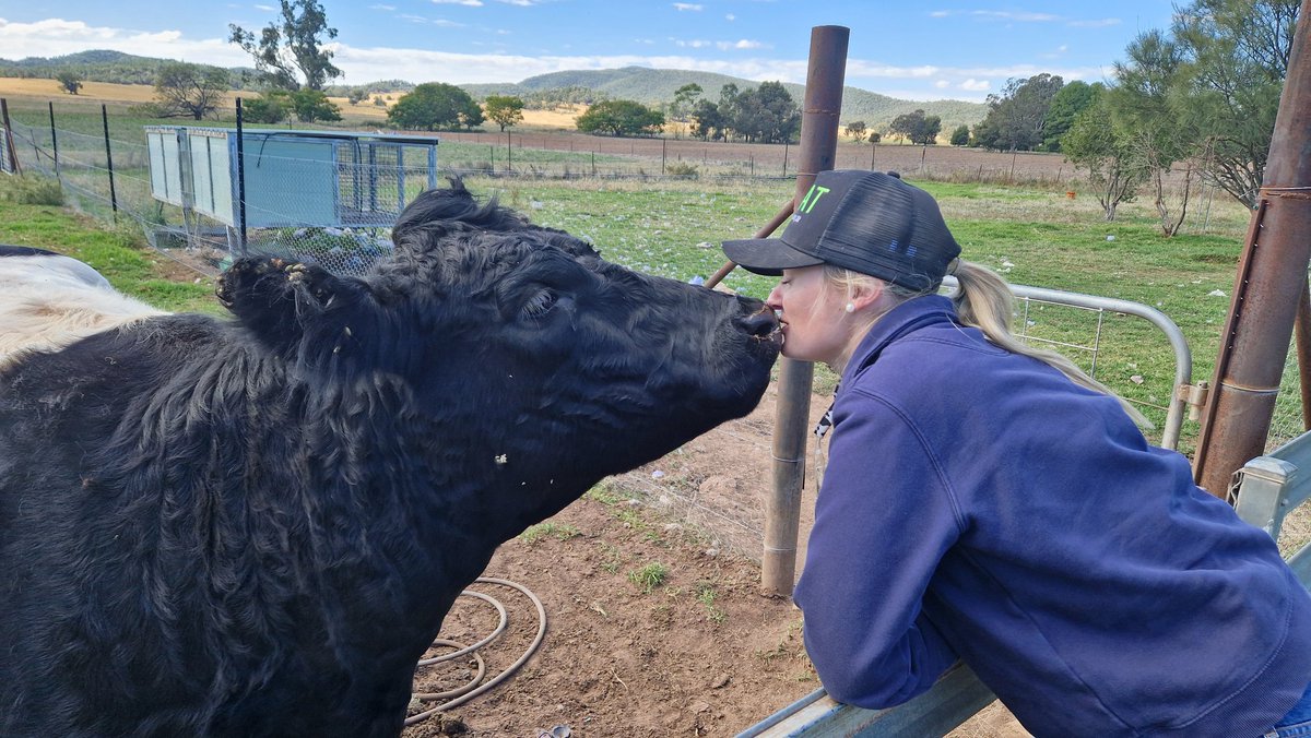 Fantastic visit to Gundamain today to see @nuffieldaust Caitlin Herbert. Great to see how a consistent feed and growth profile leads to consistent eating quality outcomes. Fantastic eye for detail and extremely high levels of welfare backed up by intensive audits.