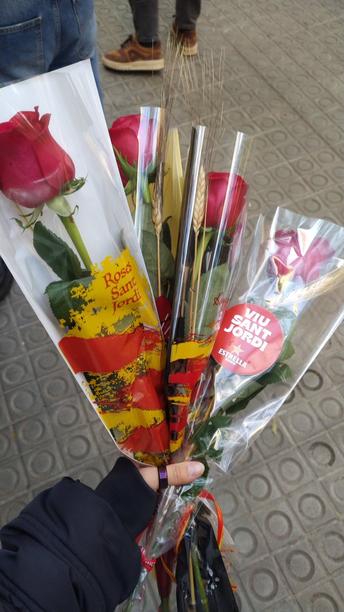 🌹🌹