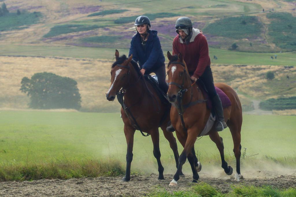 We have two runners today @UttoxeterRaces. It's Maisy (3.59) ridden by @MaggsWilliam and East Street (5.35) ridden by @NickScholfield1. #SSRacing 🏇.