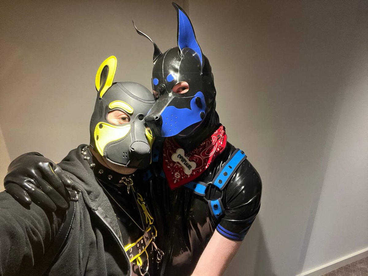 Show me your rubber duo! 💛🐶: @RubberFroggy