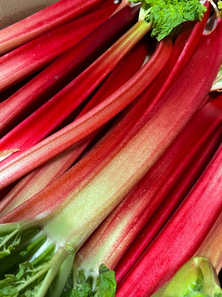 Delivering the sweetest and most tender bright pink stems, @WyeValleyAsp's British forced rhubarb is sharp, tangy and tender - best paired with vanilla and creamy ingredients. Available to order here > bit.ly/3TDqXun