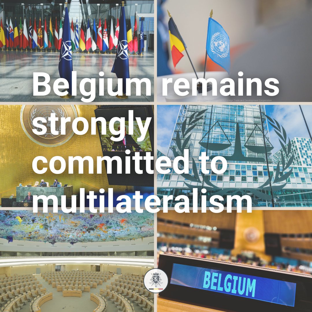 🕊️Today is the International Day of Multilateralism and Diplomacy for Peace!

🇧🇪Belgium remains strongly committed to #multilateralism, fostering consensus and acting for peace.

#MultilateralismMatters