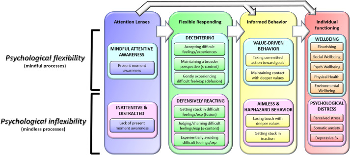 #JCBS Highlight: “A fresh lens on psychological flexibility: Using network analysis and the Unified Flexibility and Mindfulness Model to uncover paths to wellbeing and distress' by S. Forrest Parker and colleagues. Check it out! spkl.io/601242k4q