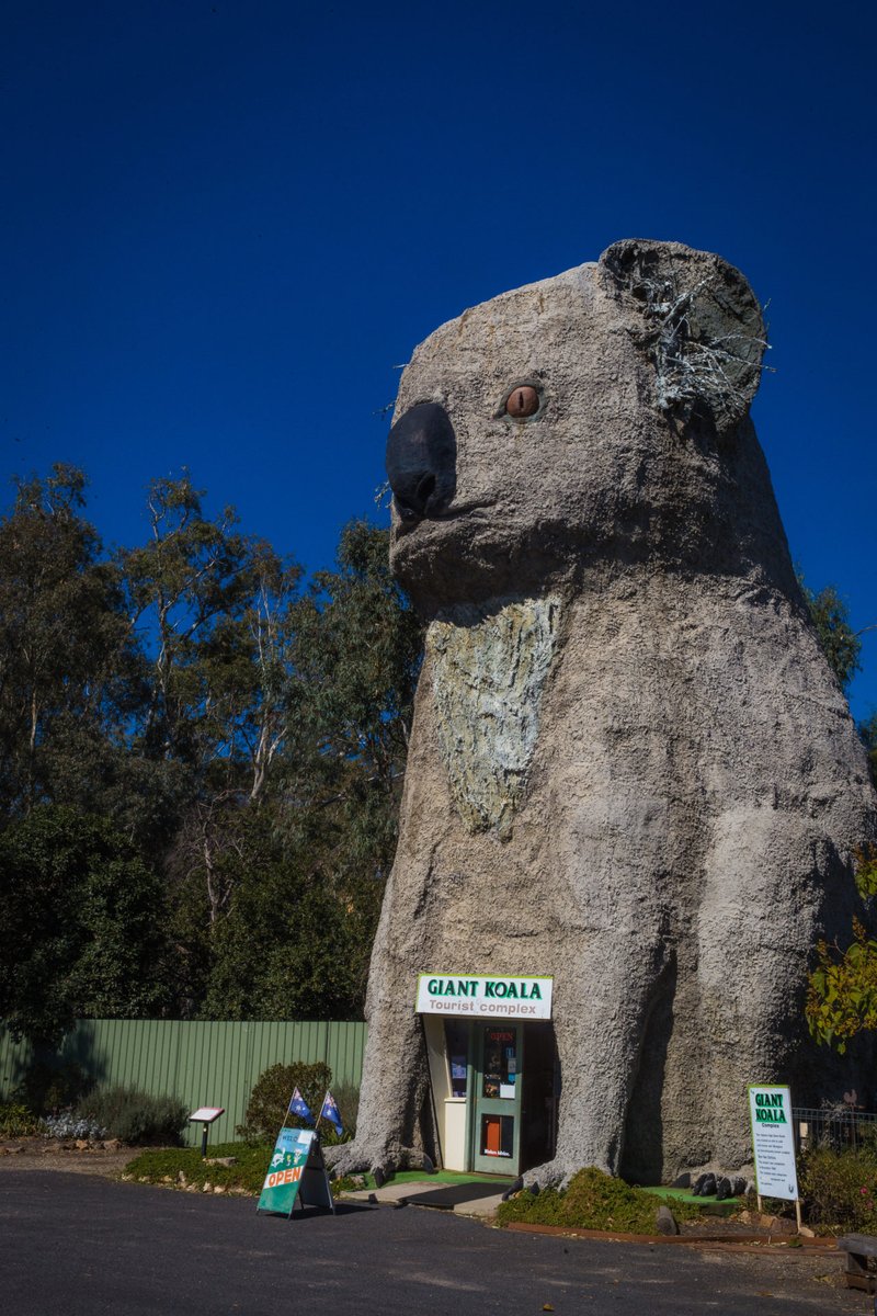 More big things from our Oceania episode – the Giant (slightly terrifying) Koala, Dadswells Bridge, Victoria

links: linktr.ee/hhepodcast
#hhepodcast #oceania #cooksvoyage #mindthegap #australia