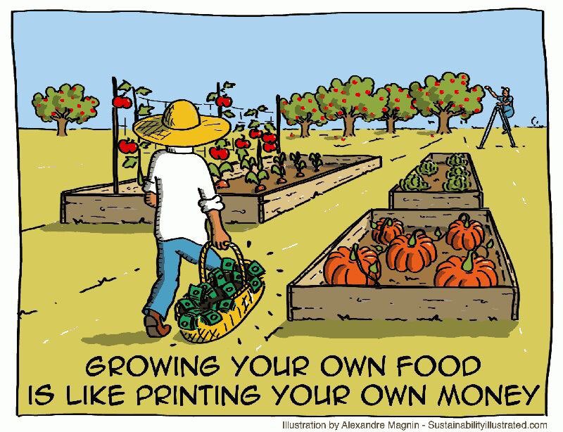 PartietMoD's tweet photo. Fler som Ă€r taggade pĂ„ den stundande odlingssĂ€songen? đ§đŒâđŸđđ»
#nofarmersnofood #sjÀlvförsörjning #regenerativeagriculture #ekologiskt #odlarglÀdje #beredskap #sjÀlvhushÄllning #whatyousowyoureap #nopatentsonseeds #thinklocal #nÀrodlat #hÄllbarhet #kretslopp #biodynamicfarming #svpol #jordbruk #bondenbehövs #euval