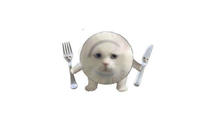 nanqji's tweet photo. ❥ wieiad ୧‿︵
random school day edition https://t.co/OtTyrEE91c