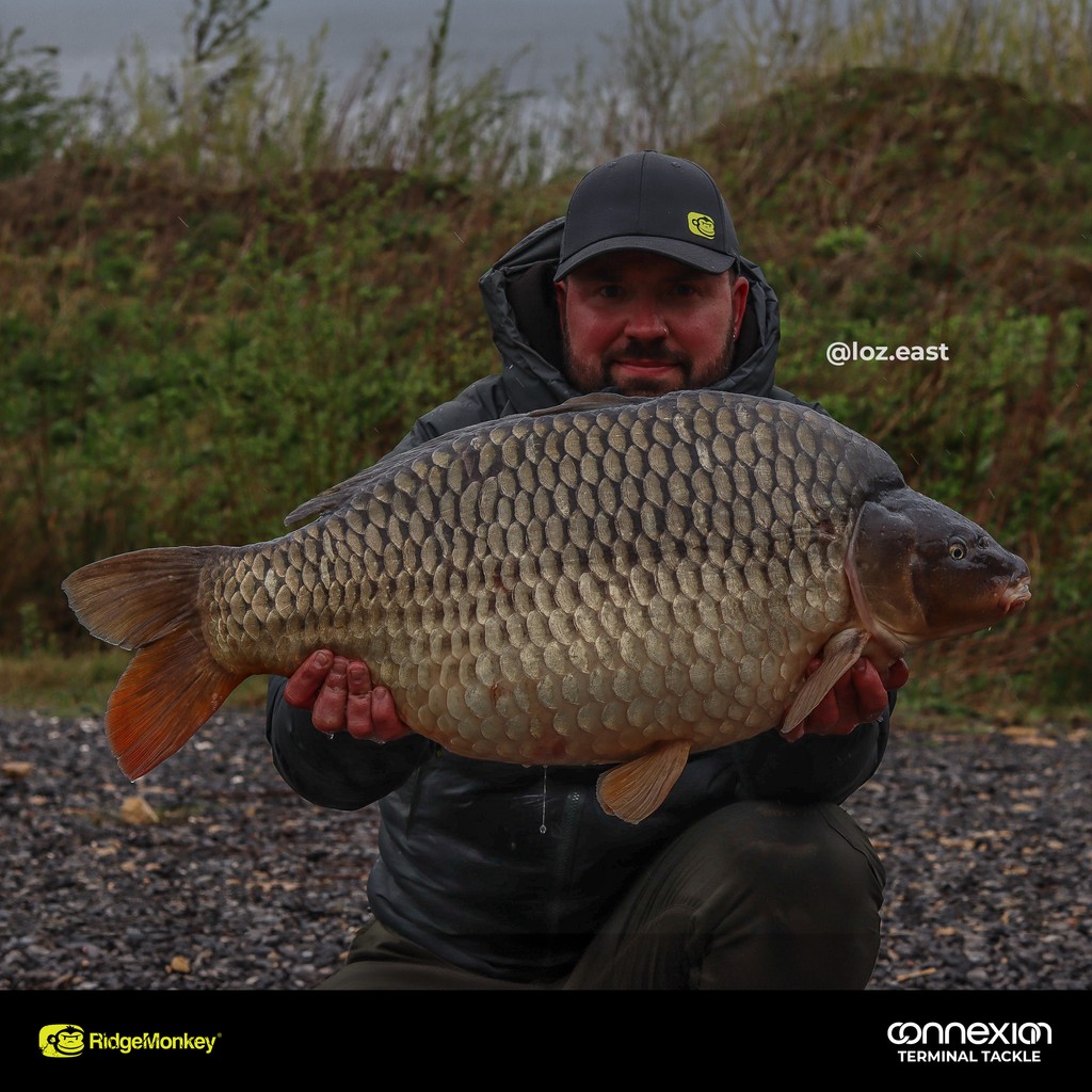 RidgeMonkey's tweet photo. Loz East recently visited Old Mill Lakes and managed a trio of thirties topped by a 36lb 15oz common.
Loz used Combi Rigs made from our 20lb Spectre Fluorocarbon Hooklink and 35lb Camo X Soft Braid with size 4 APE-X Curve Hooks. 

#RidgeMonkey #CatchReport https://t.co/sv3GIPmiH8