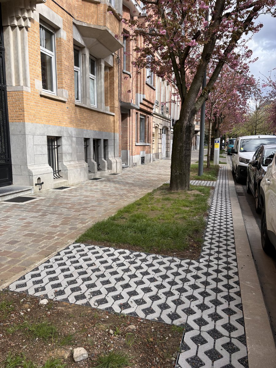 Dimitri Strobbe 🚧 tweet media