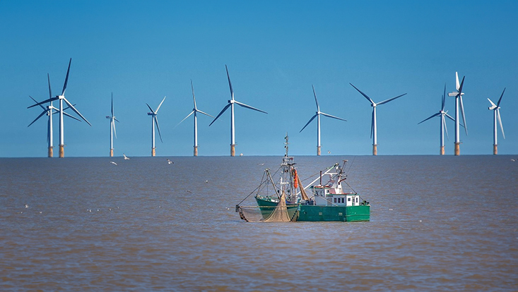 🌊Heute berichtet @nilsgoseberg, @tuBraunschweig/ @FZK_GWK, in der Ringvorlesung der DAM-Forschungsmission #sustainMare an der @unihh über 'Küstenschutz & Digitalisierung', oder wie wir den Ozean, die Wellen & die Küste in die digitale Welt bekommen Link: zfw.uni-hamburg.de/oeffentliche-v…