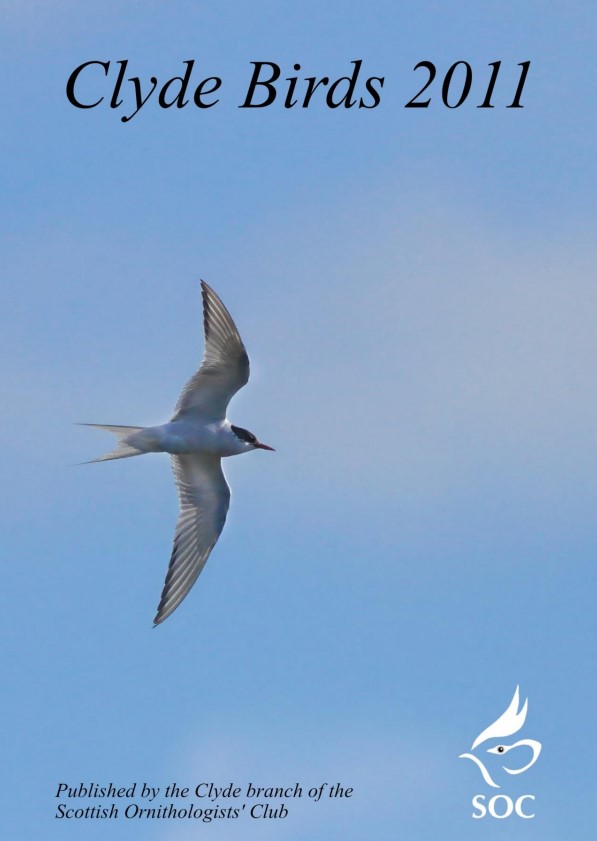 Announcing the 2011 Clyde Bird Report! 20 people have been writing species accounts and at least 16 people helping directly in other ways in our effort to catch up on missing reports. A link to download the report can be found at: birdsinclyde.scot/uploads/1/3/6/…