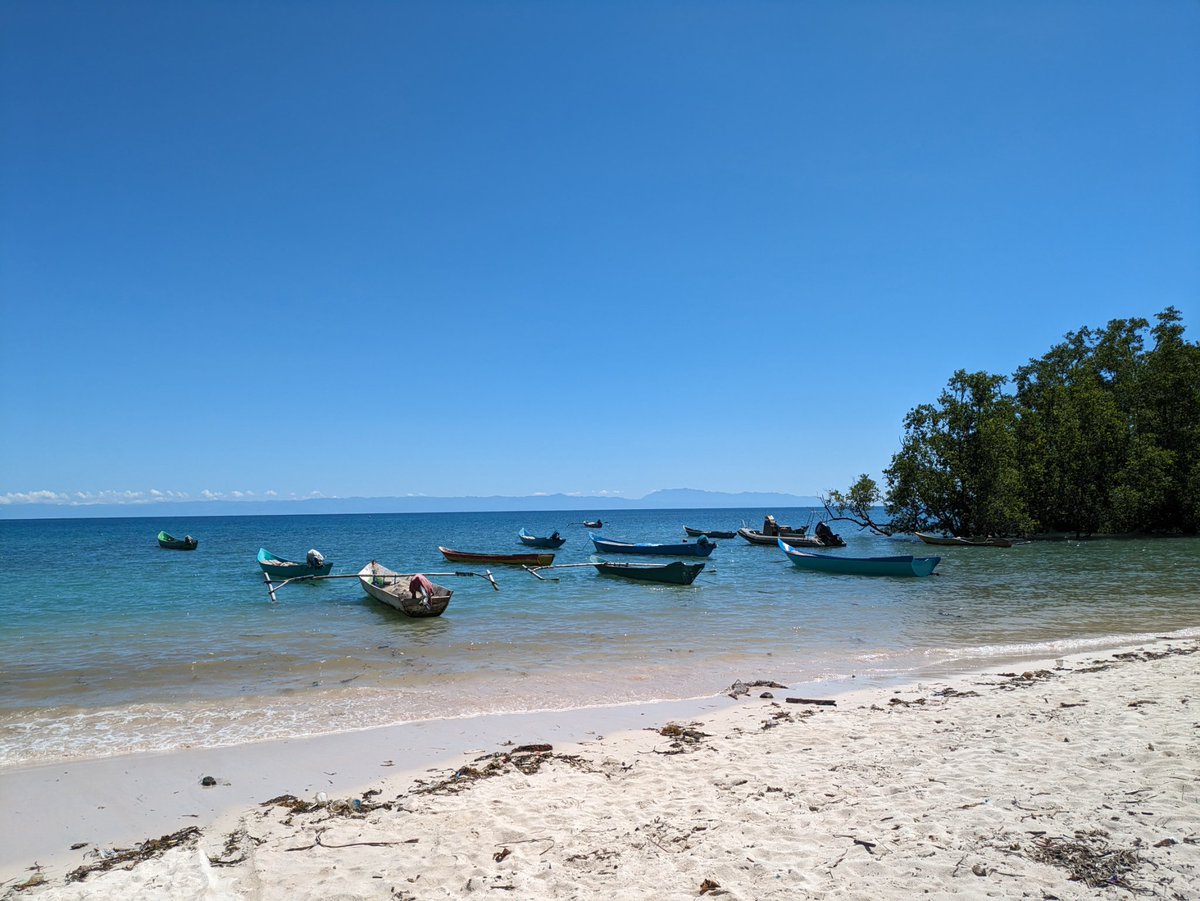 Govt reps from #Kenya, #Mozambique &amp; #Zanzibar visited the Beacou fish landing site in #TimorLeste today to see how the Peskas monitoring system works.

South-south collaboration in action.

@Worldfish